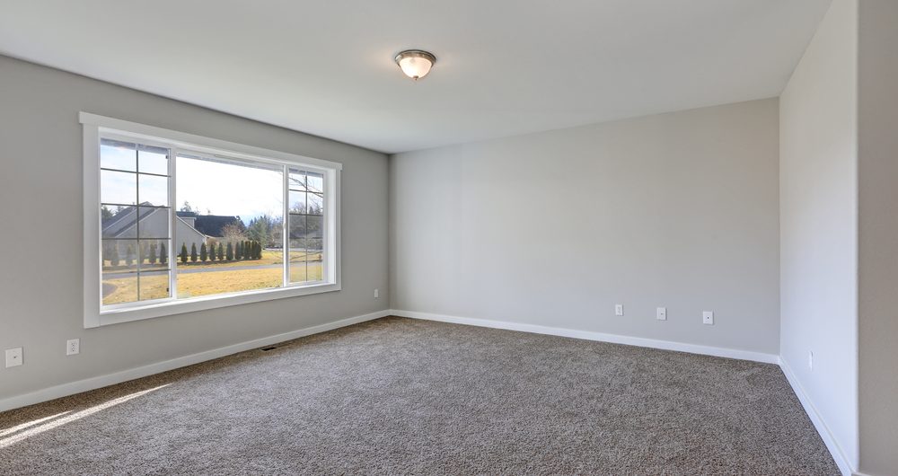 Spacious modern living room with soft beige carpet flooring, large window, and neutral grey walls